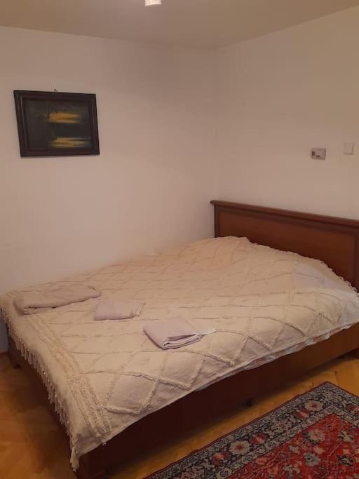 Emese Central Vintage Apartment Marosvásárhely Kültér fotó